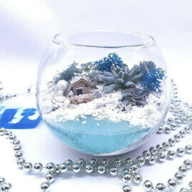 Novogodnij florarium s sukkulentami