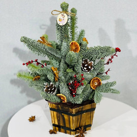 Новогодняя ёлочка из живой ели нобилис в деревянном кашпо 40 см 