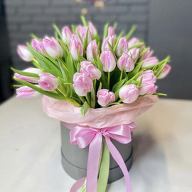 Букет розовых тюльпанов