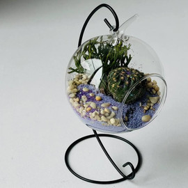 Mini florarium na podvese
