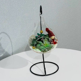 Novogodnij podarok florarium podvesnoj