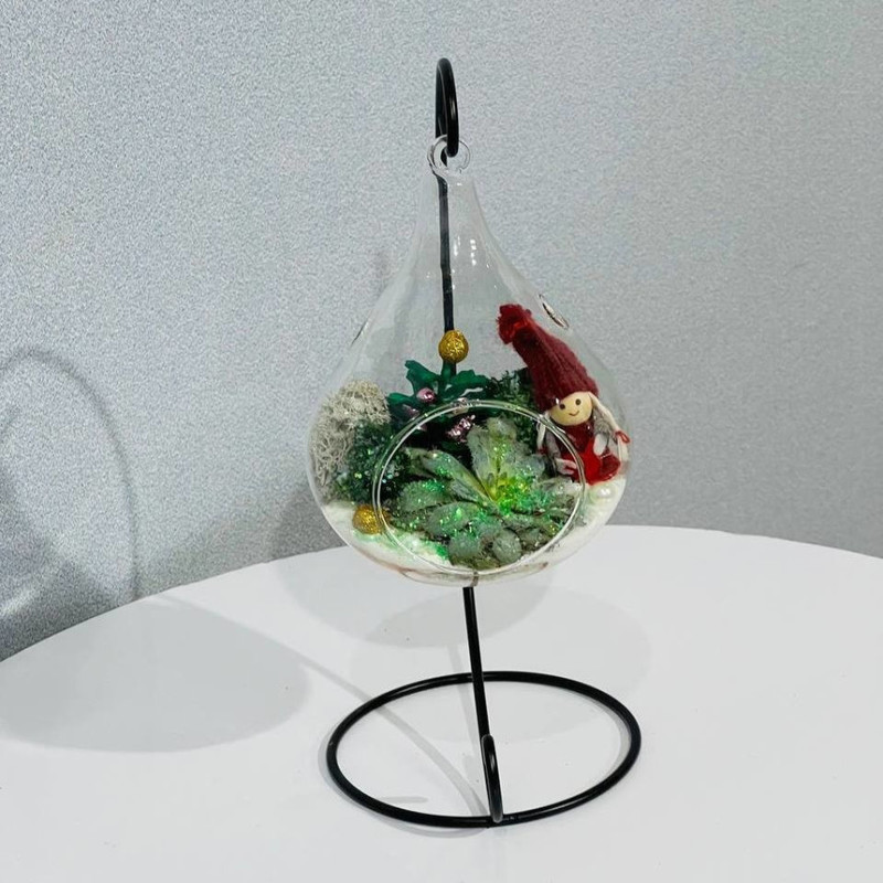Новогодний подарок флорариум подвесной, стандартный