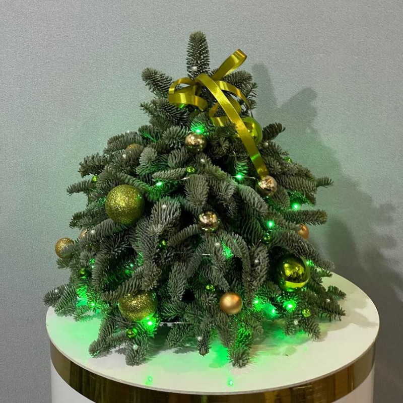 YOlochka iz zhivogo nobilisa s zelyonim dekorom 40 sm, standart