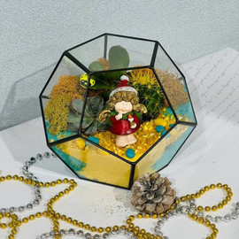 Мини сад с растениями новогодний. Флорариум с кактусом, суккулентами и сувениром