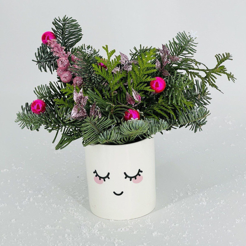 Novogodnij buket iz nobilisa v kashpo, standart