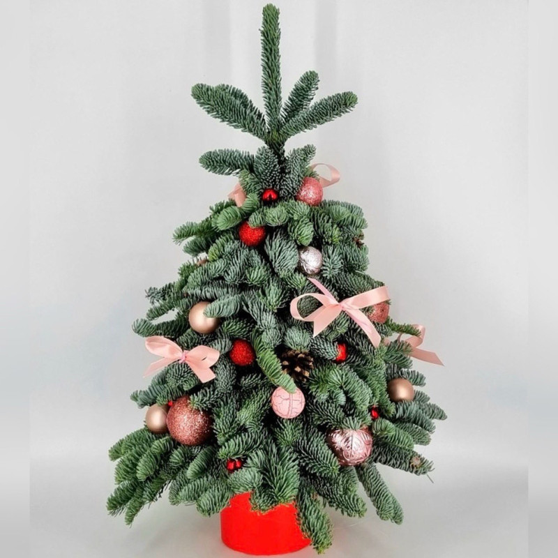 Ёлка новогодняя в шляпной коробке 60 см. Ёлочка из нобилиса, стандартный