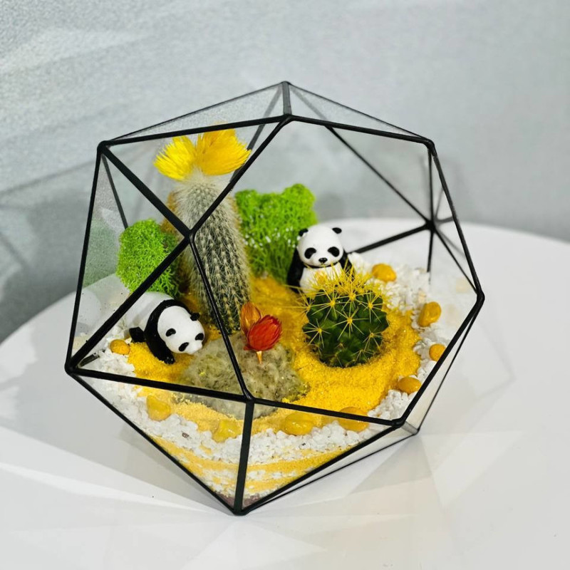 Mossarium s kaktusami. Florarium s pandami, standart