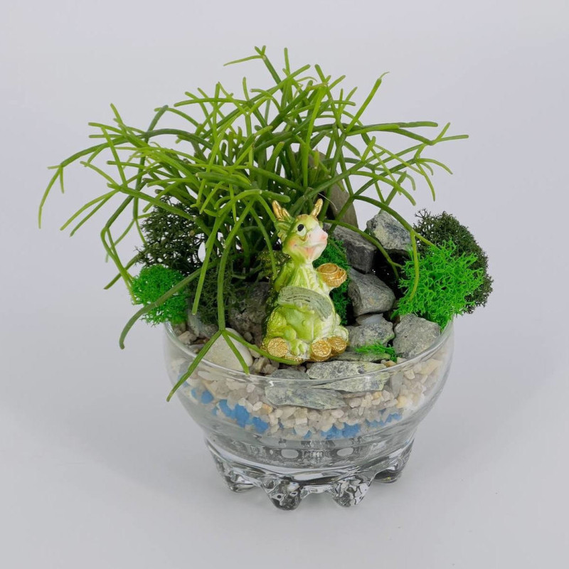Мини сад с растением рипсалис и фигуркой дракон. Флорариум, стандартный