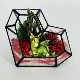Флорариум сердце с драконом