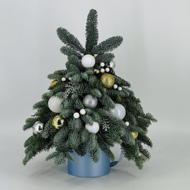 Ёлочка из натуральной хвои нобилис интерьерная в шляпной коробке 50 см