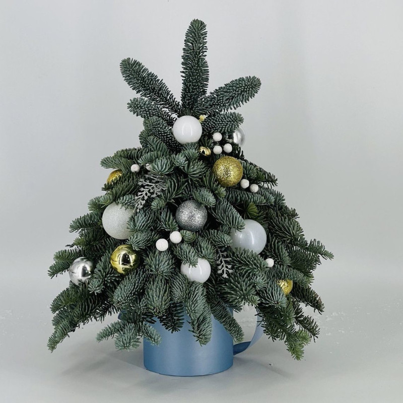 Ёлочка из натуральной хвои нобилис интерьерная в шляпной коробке 50 см, стандартный