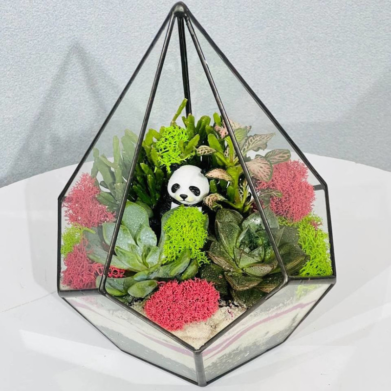 Terrarium s rasteniyami. Florarium kaplya s pandoj, standart