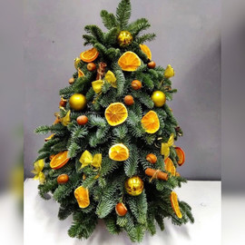 Novogodnyaya yolochka s apel_sinami 50 sm. YOlka iz nobilisa