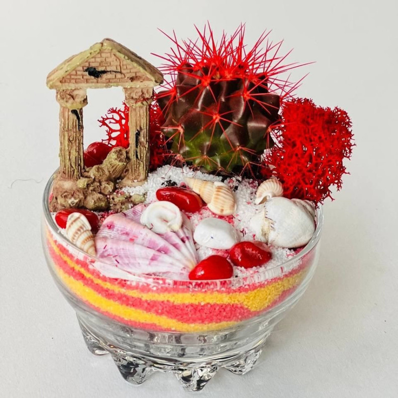 Мини садик с кактусом, стандартный