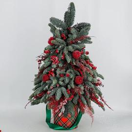 Новогодняя ель ручной работы из живого нобилиса 60 см