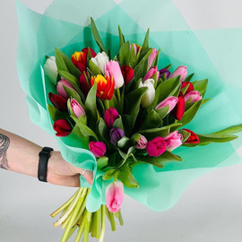 35 тюльпанов