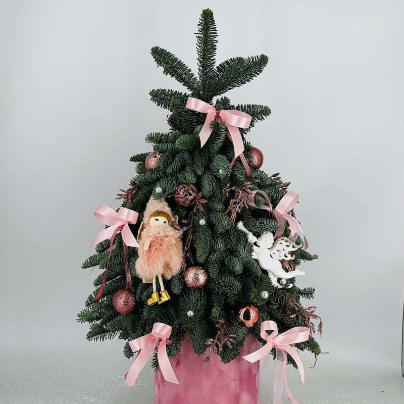 Kompozitciya iz nobilisa el_ novogodnyaya 70 sm, standart