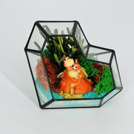 Florarium s drakonami