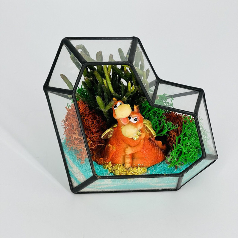 Флорариум с драконами, стандартный