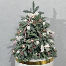 YOlka novogodnyaya inter_ernaya iz zhivogo nobilisa 50 sm