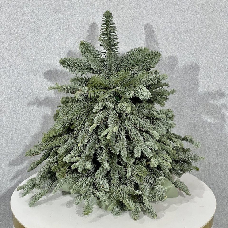 Ёлочка из веток хвои нобилис для декорирования 40 см, стандартный