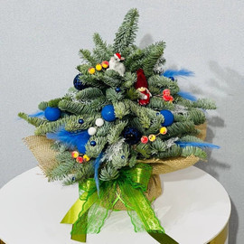 Мини ёлочка интерьерная из живой хвои нобилис 30 см