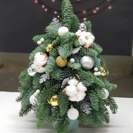 YOlochka dekorativnaya iz pihti nobilis 45 sm