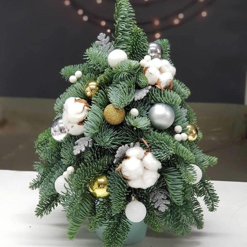 Ёлочка декоративная из пихты нобилис 45 см, стандартный