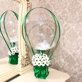 Romashki belie s sharom babls. Hrizantemi