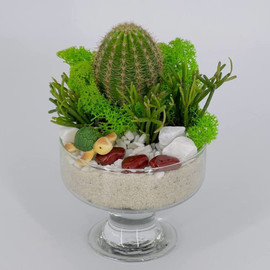 Podarochnij mini florarium s cherepahoj