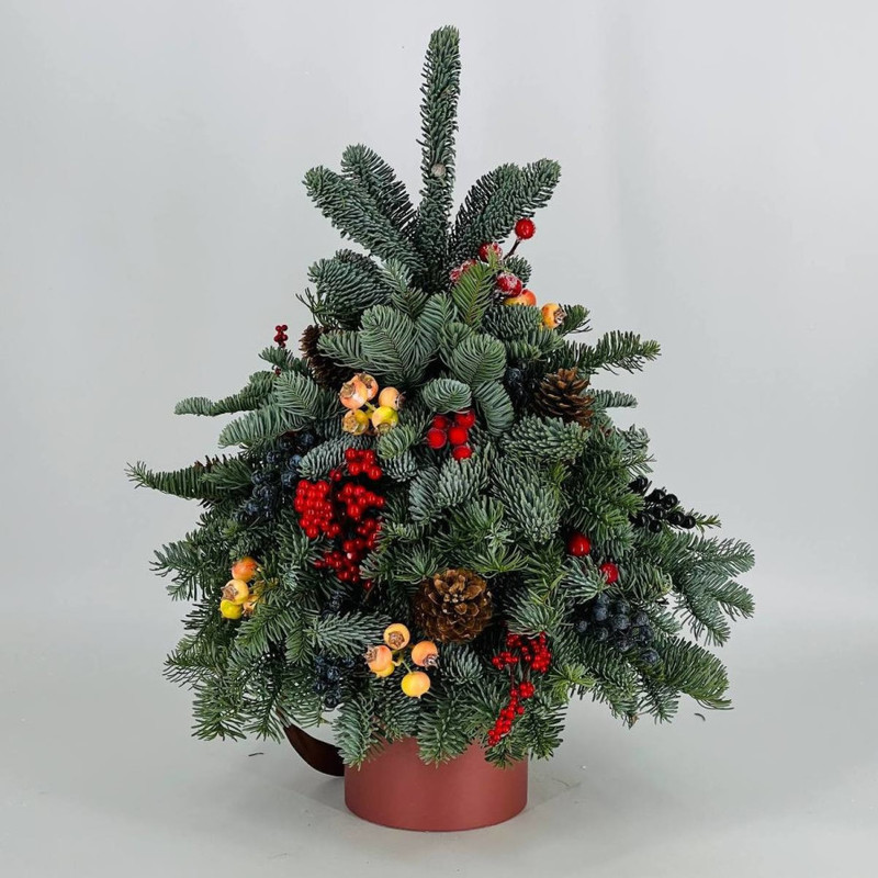 Новогодняя ель из натуральной хвои нобилис в коробке 50 см, стандартный