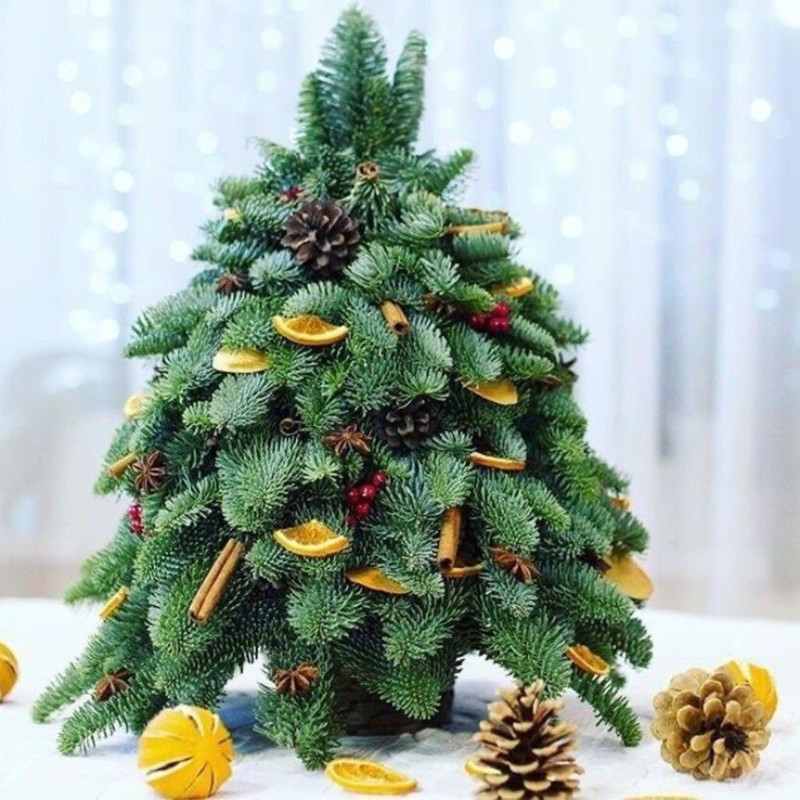 Новогодняя композиция ёлочка из нобилиса 50 см, стандартный