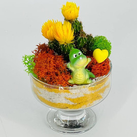 Mini mossarium s drakonchikom. Florarium s kaktusom