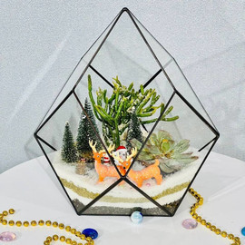 Новогодний флорариум Зимняя сказка