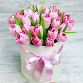 Тюльпаны розовые