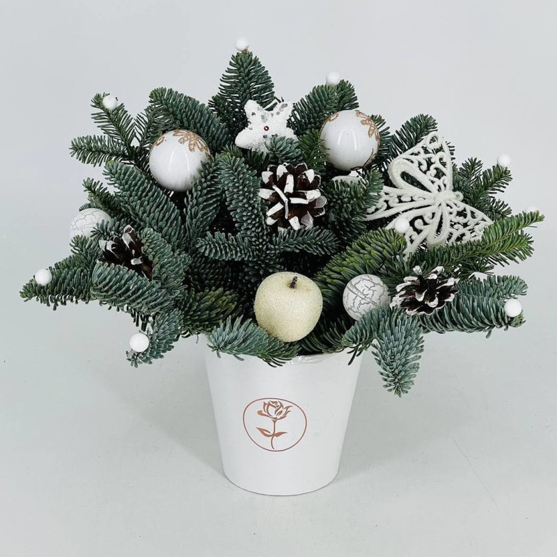 Зимний букет из живой ели нобилис в кашпо, стандартный