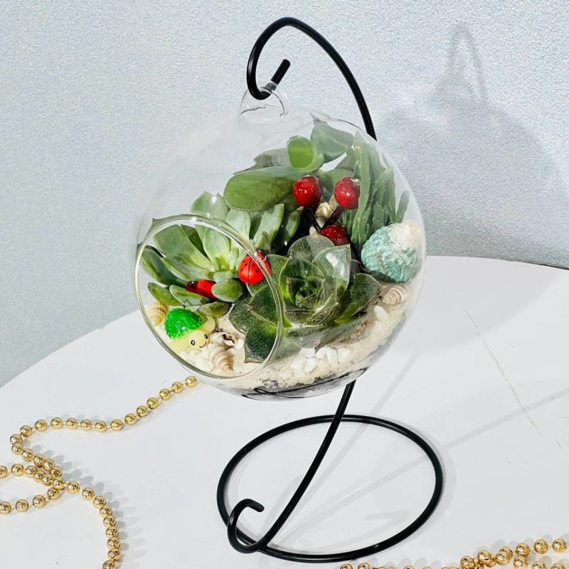 Podvesnoj mini sad florarium, standart