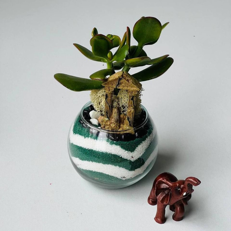 Толстянка денежное дерево в стекле с декором. Флорариум, стандартный