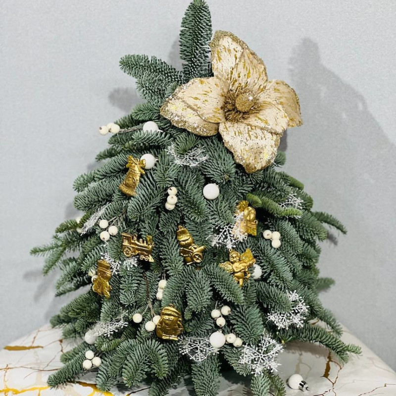 Novogodnyaya el_ iz zhivogo nobilisa 50 sm, standart