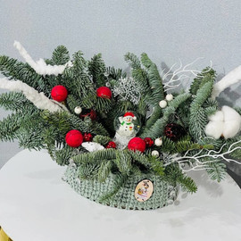 Novogodnyaya kompozitciya iz nobilisa v vyazanom kashpo