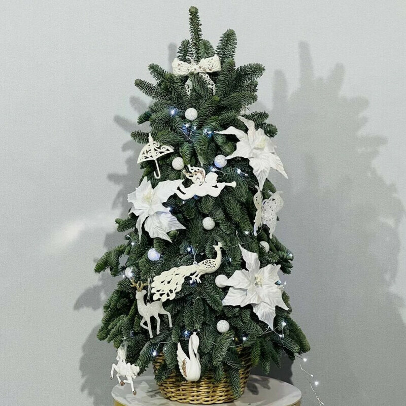 Dizajnerskaya yolka iz zhivogo nobilisa 100 sm, standart