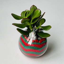 Толстянка в стекле с кроликом. Флорариум