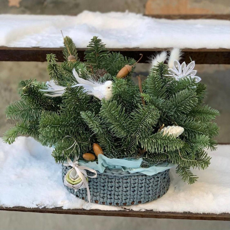 Hvojnaya kompozitciya iz nobilisa na Novij god v vyazanom kashpo, standart