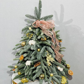 YOlochka iz zhivogo nobilisa ruchnaya rabota 60 sm