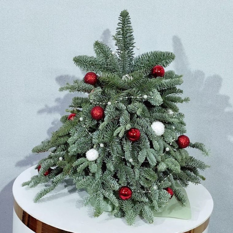 El_ novogodnyaya iz vetok nobilisa 40 sm, standart