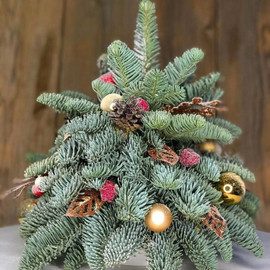 YOlochka dekorativnaya iz nobilisa 40 sm