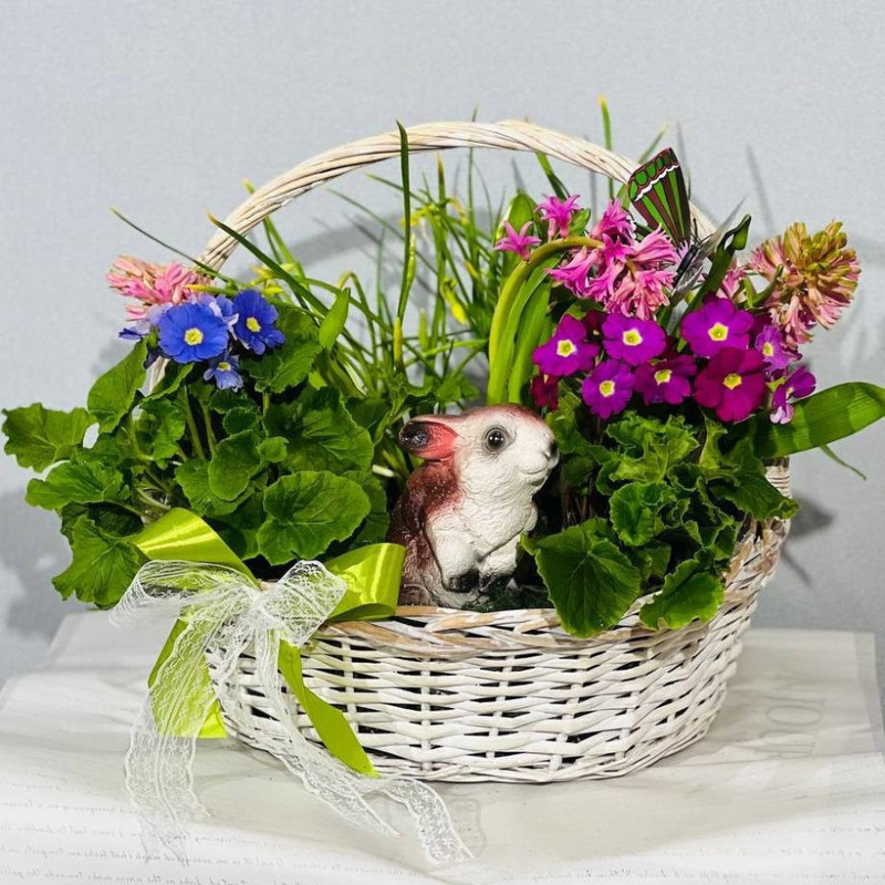 Большая подарочная корзина с живыми растениями первоцветами и сувениром. Примула, гиацинт, нарцисс, стандартный