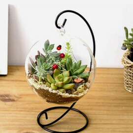 Florarium na podvese