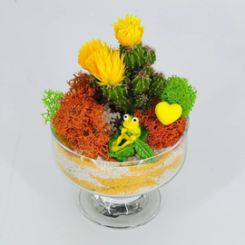 Florarium bokal s kaktusom i figurkoj lyagushka