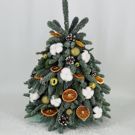 Декоративная ёлочка новогодняя из живой хвои нобилис 50 см